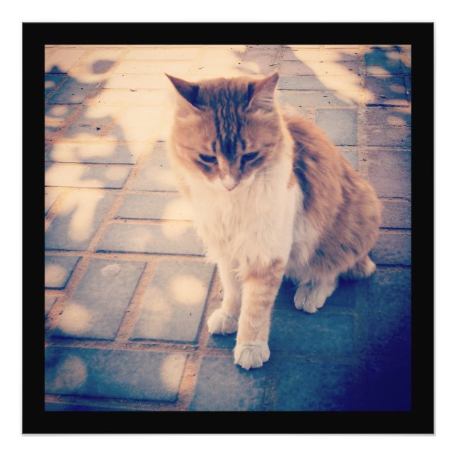 Foto Reflexão (Frente)