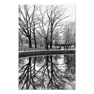 Foto Reflexão da árvore do inverno no Central Park