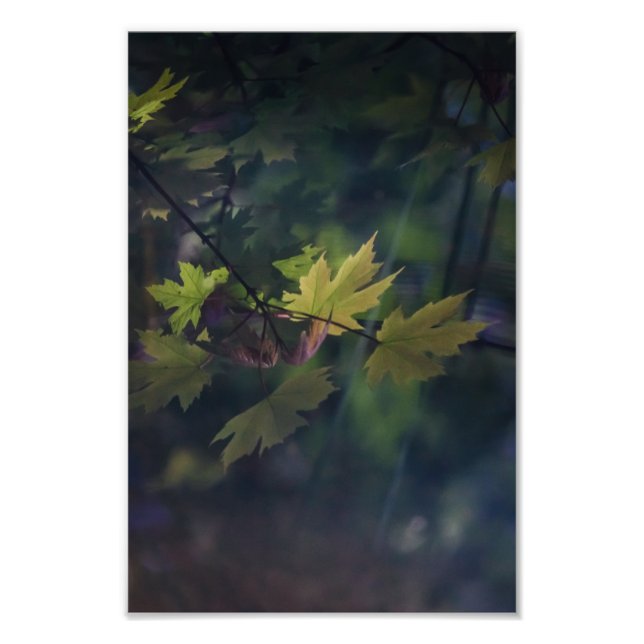 Foto Reflexão do outono — (Frente)