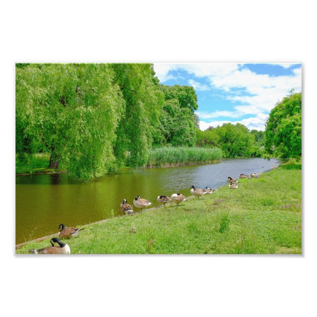 Foto Regent Park, Impressão de Londres (Frente)