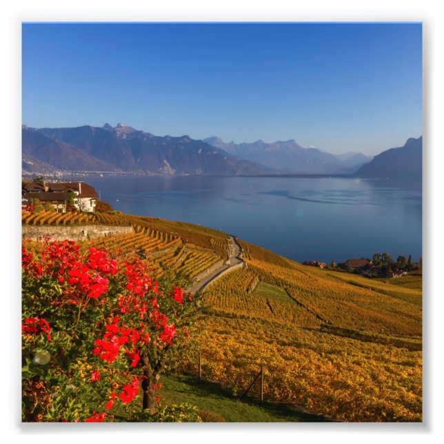 Foto Região de Lavaux, Vaud, Suiça (Frente)