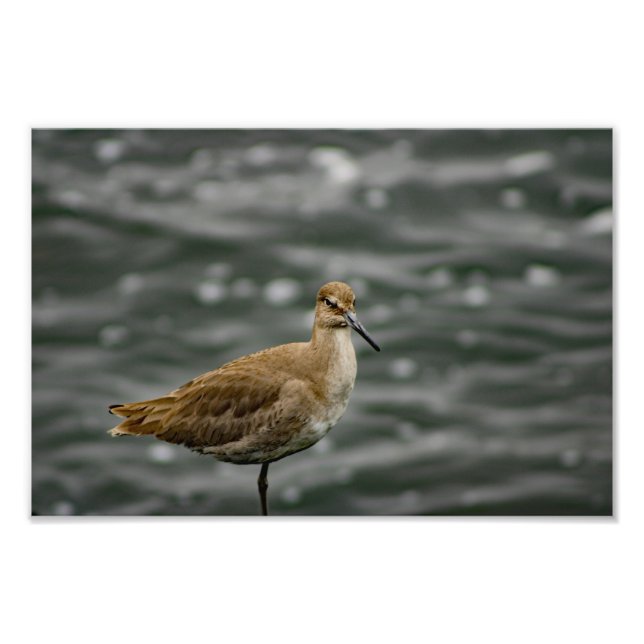 Foto Reproduzir Dell Rey (Frente)