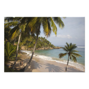 Foto República Dominicana, Costa Norte, Abreu, Praia 3
