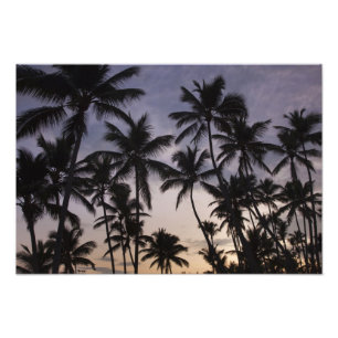 Foto República Dominicana, Península de Samana, Las 2
