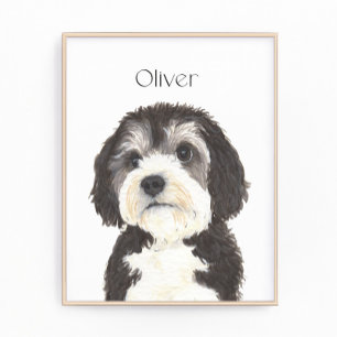 Foto Retrato Bernedoodle Personalizado