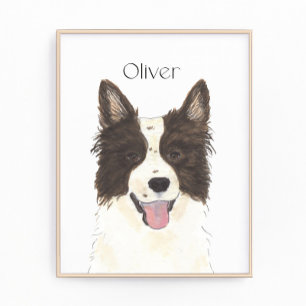 Foto Retrato Collie de Borda Personalizada