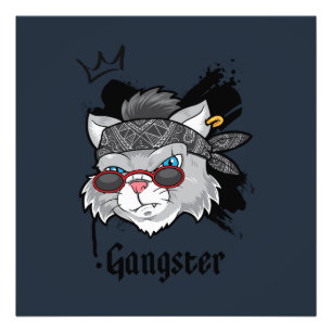 Foto Retrato da Rua Gangster Cat