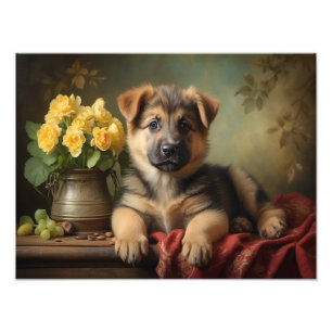 Foto Retrato de Cachorro Cachorro-Cachorro-Alemão-Cacho