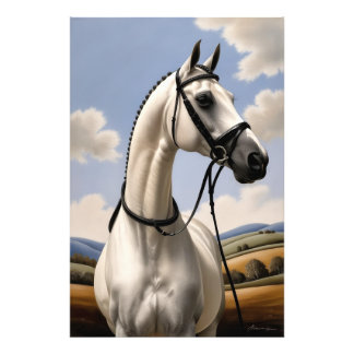 Foto Retrato de Cavalo em Cena Rural Amante Equestre