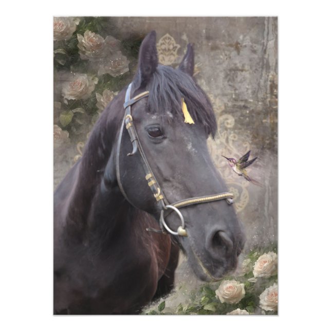 Foto Retrato de Cavalo Friesian - Poster (Frente)