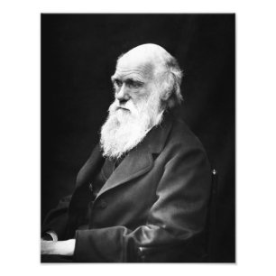 Foto Retrato de Charles Darwin