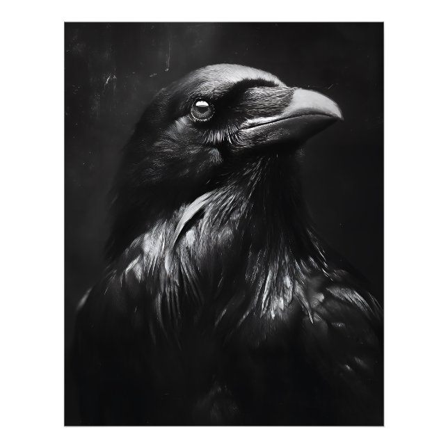 Foto Retrato de Corvo Monocromático (Frente)