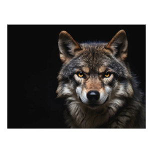 Foto Retrato do lobo