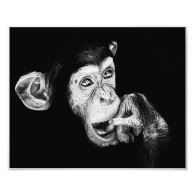 Foto Retrato do pensador Chimpanzé (Frente)