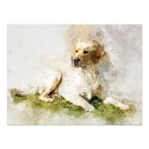 Foto Retrato em Aquarela do Cão Labrador Retriever 03