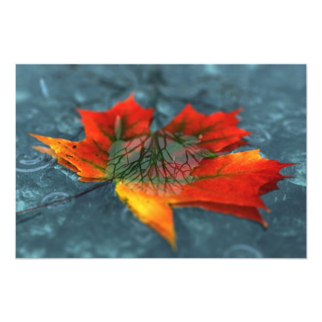 Foto Retroreflection Photo Impressão (Frente)