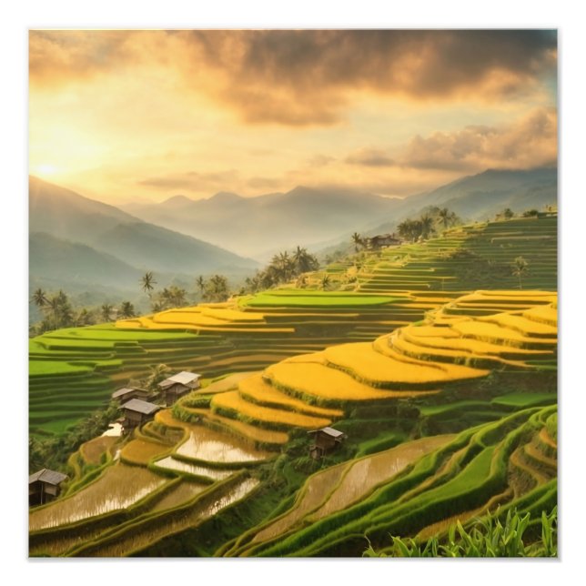 Foto Rice Terraces Sunrise (Frente)