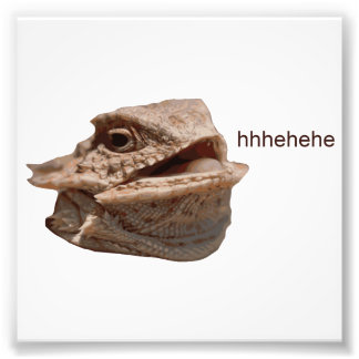 Foto Rindo de Iguana Hehe Lizard