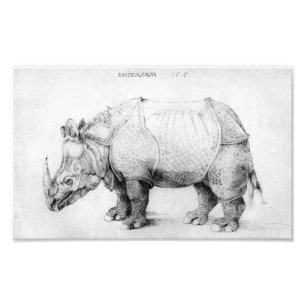 Foto Rinoceronte de Albrecht Durer