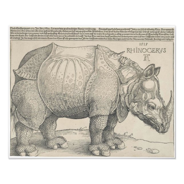 Foto Rinocerontes, Woodcut por Albrecht Durer (Frente)