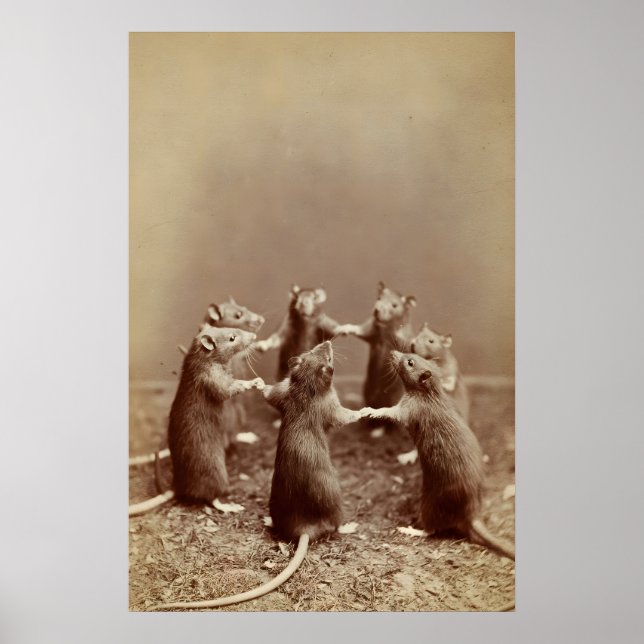 Foto Ritual de Rato, Impressão Assustadora de Anim (Frente)