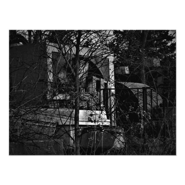 Foto "Roadside Mishmash" (Frente)