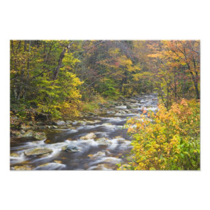 Foto Roaring Brook no outono no Green Vermont