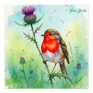 Foto Robin Bird e Flor de Cardo Aquarela Botânica