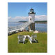 Foto Robinson Point Lighthouse, Isle Au Haut, Maine (Frente)