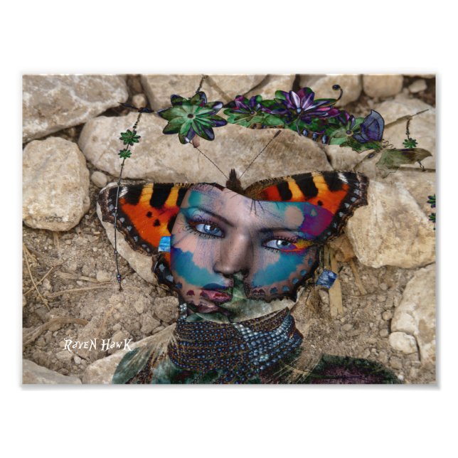 Foto Rock Butterfly (Frente)