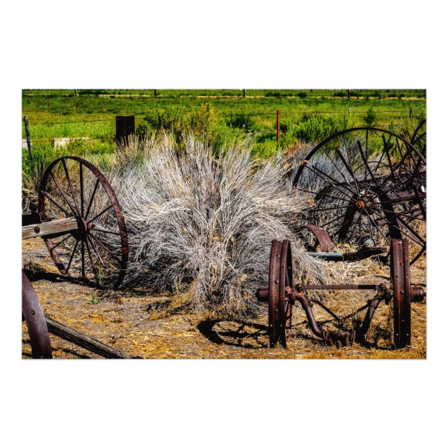 Foto Rodas Históricas do Rancho (Frente)