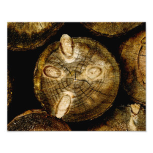 Foto Roll de Log Rustic
