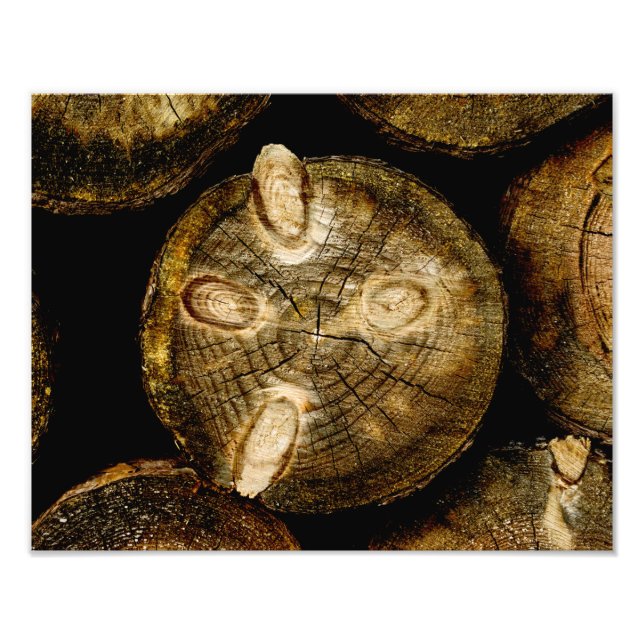 Foto Roll de Log Rustic (Frente)