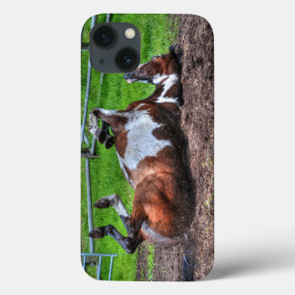Foto Rolling Paint Horse Equine para amantes de ca