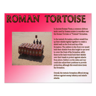 Foto Roman Tortoise