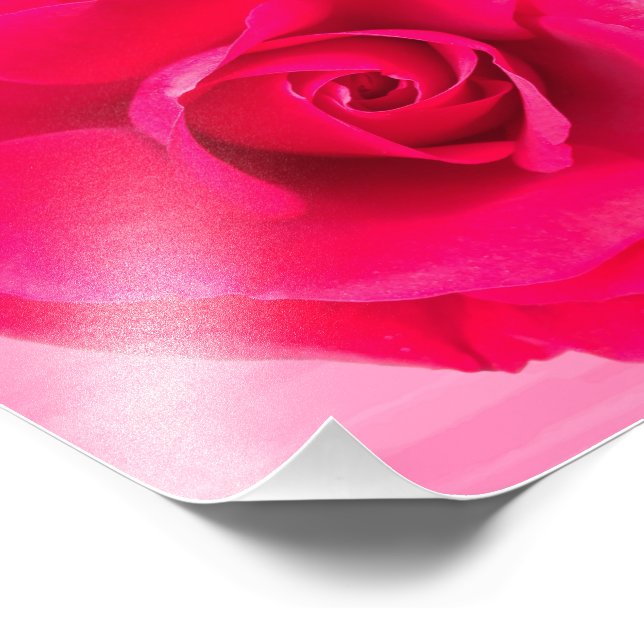 Foto Romântico Rosa Vermelho Rosa v2 (Borda)
