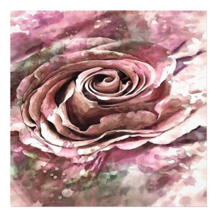 Foto Rosa artístico queimado de Coral e Mist do Desert
