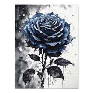 Foto Rosa - Azul