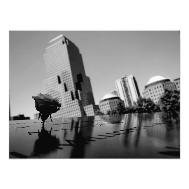 Foto Rosa branca da memória (Frente)