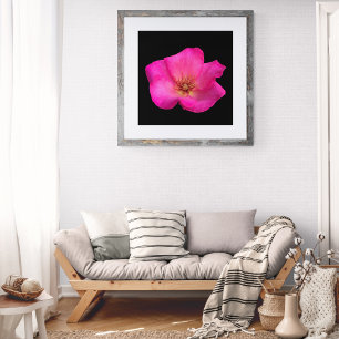 Foto Rosa Caneta Feltro