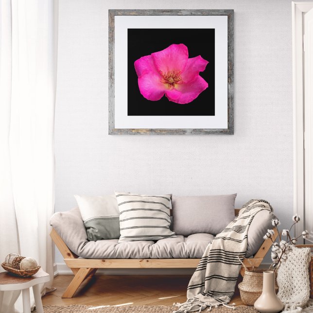 Foto Rosa Caneta Feltro (Criador carregado)