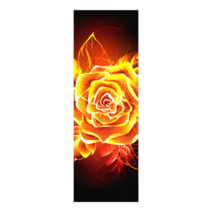 Foto Rosa de Fogo em Flor