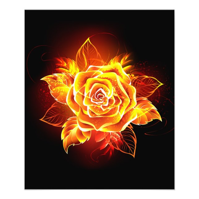 Foto Rosa de Fogo em Flor (Frente)