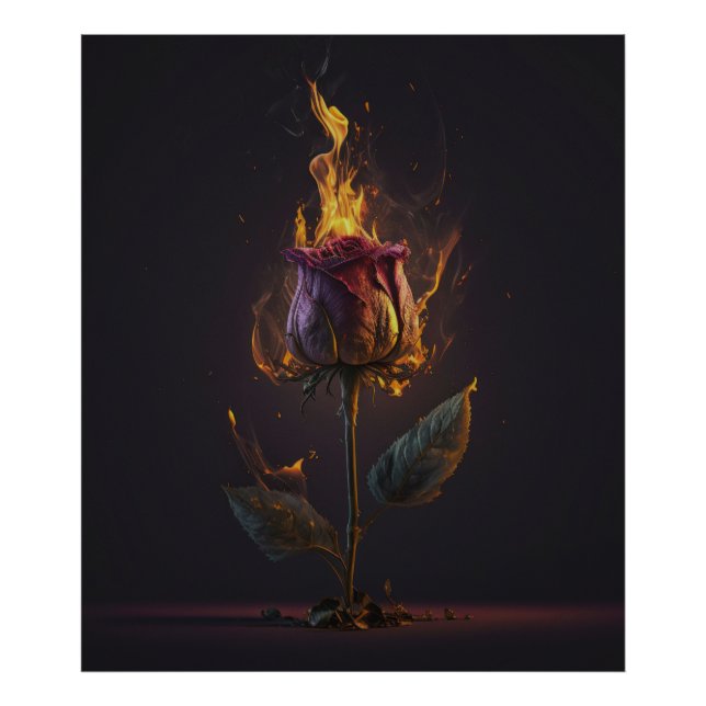 Foto rosa em chamas (Frente)