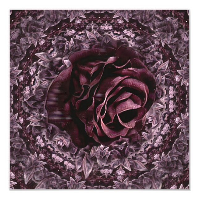 Foto Rosa Mandala (Frente)