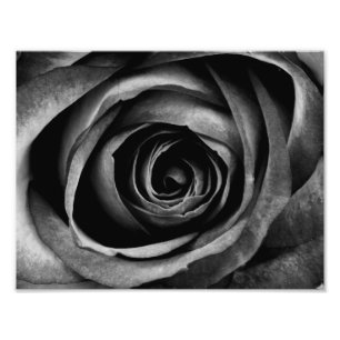 Foto Rosa Negra Flor Decoração Floral Vintage