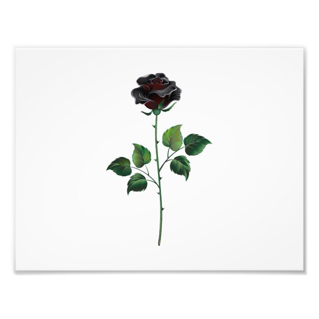 Foto Rosa preto (Frente)