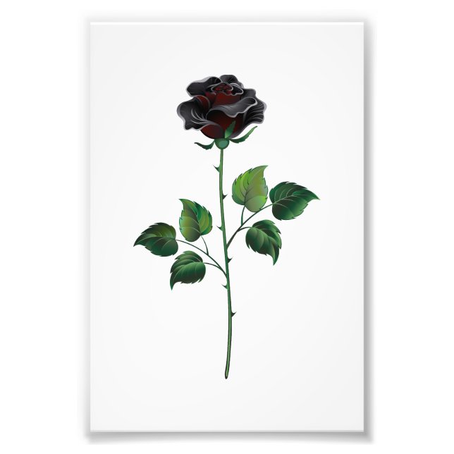 Foto Rosa preto (Frente)