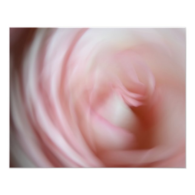 Foto Rosa Rosa Abstrata (Frente)