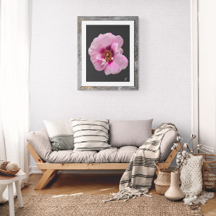 Foto Rosa rosa com Coração Roxo - pintura a óleo